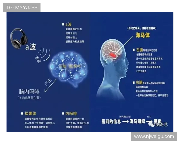 专访陈军:探寻足球成功背后的秘密与智慧 专访陈军:探寻足球成功背后的秘密与智慧