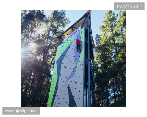 吴丽亲述攀岩技巧与心路历程助你轻松征服高峰 吴丽亲述攀岩技巧与心路历程助你轻松征服高峰