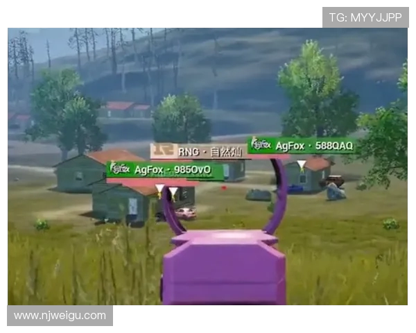 和平精英热议RNG比赛经验引发的争议与讨论分析 和平精英热议RNG比赛经验引发的争议与讨论分析