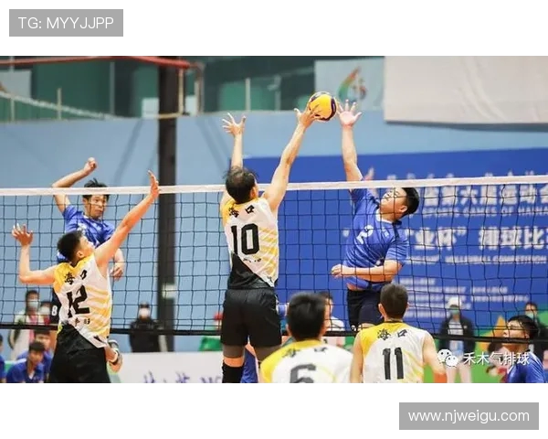 深入探讨上海乒乓球队战术演变及其对手应对策略分析