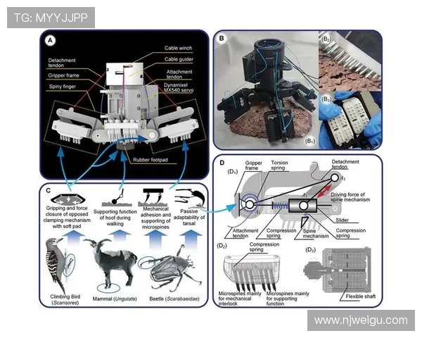 深圳攀岩队战术解析:聚焦攀岩运动的技术与策略探讨