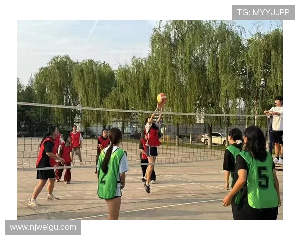 西安排球队在排球战术排行榜中荣登第八名引发热议与关注