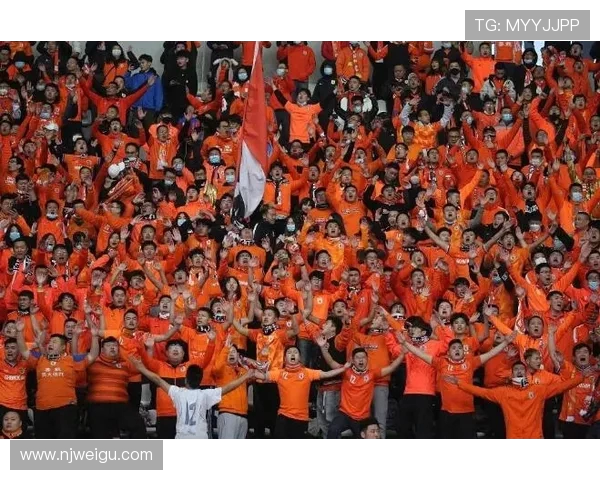 匈牙利与斯洛伐克精彩对决赛果揭晓引发球迷热议 匈牙利与斯洛伐克精彩对决赛果揭晓引发球迷热议