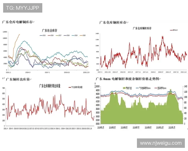 飞盘专题:深入分析北京飞盘队近期表现与未来发展方向