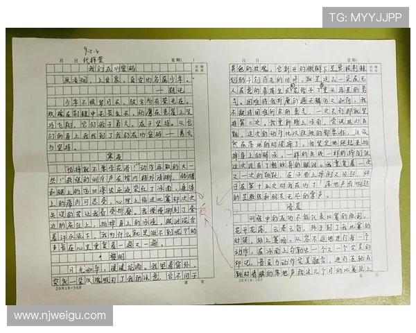 马力克的传奇旅程与奋斗精神启示我们追求梦想的勇气与坚持