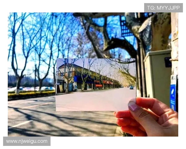 杭州攀岩队的蜕变之路：从初学者到全国联赛的崭露头角