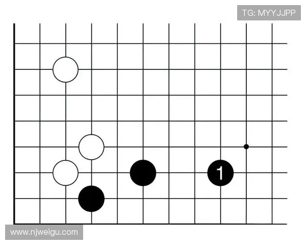 深入分析上海网球队的进攻策略与战术特点探讨